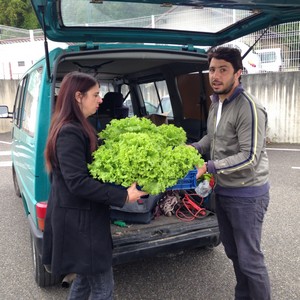 image : jardiniers solidaires - Coneils de quartier Mont de Marsan