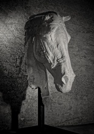 image : Tête de cheval monumentale (2016) de Christophe Charbonnel - Musée Despiau Wlérick