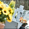 image : photo dun cimetière de Mont de Marsan