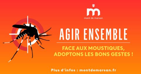 Agir ensemble face aux moustiques, adoptons les bons gestes !