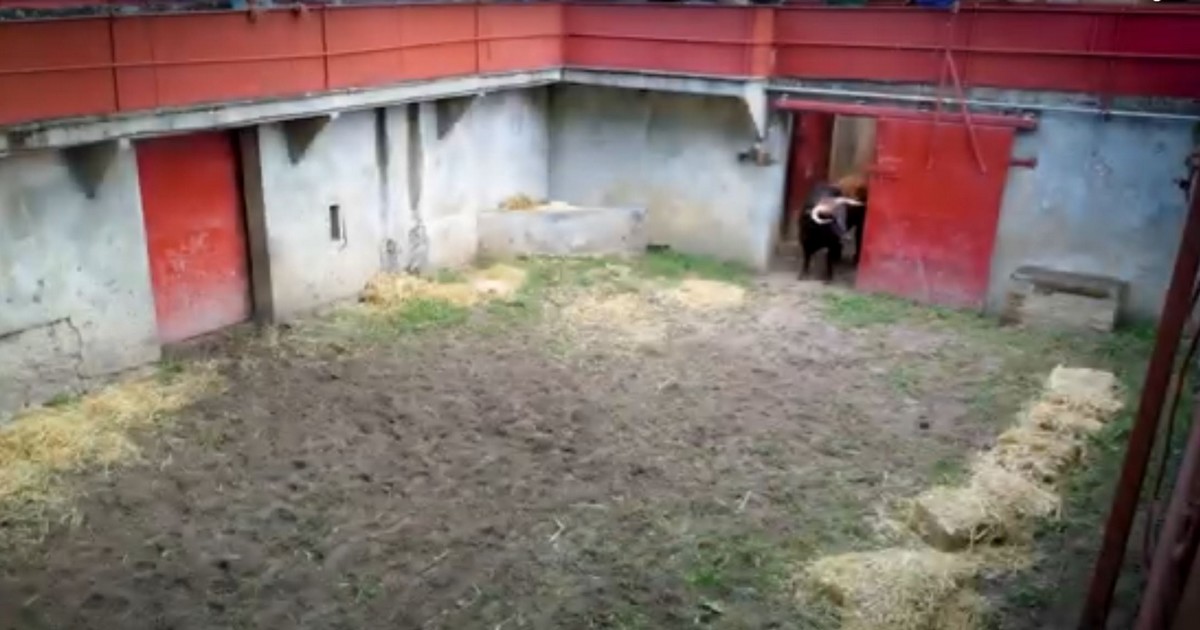 Les corrales des arènes du Plumaçon - Mont de Marsan
