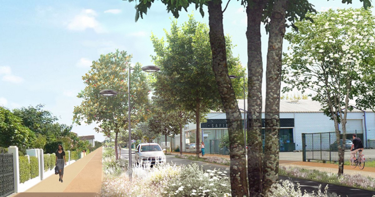 Avenue de sabre à Mont de Marsan