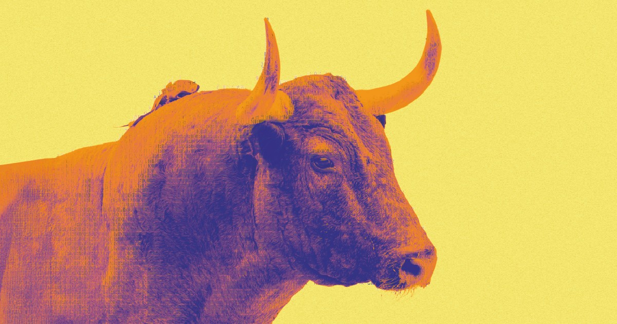 Visuel Abonnements Ferai Madeleine 2026 - Mont de Marsan