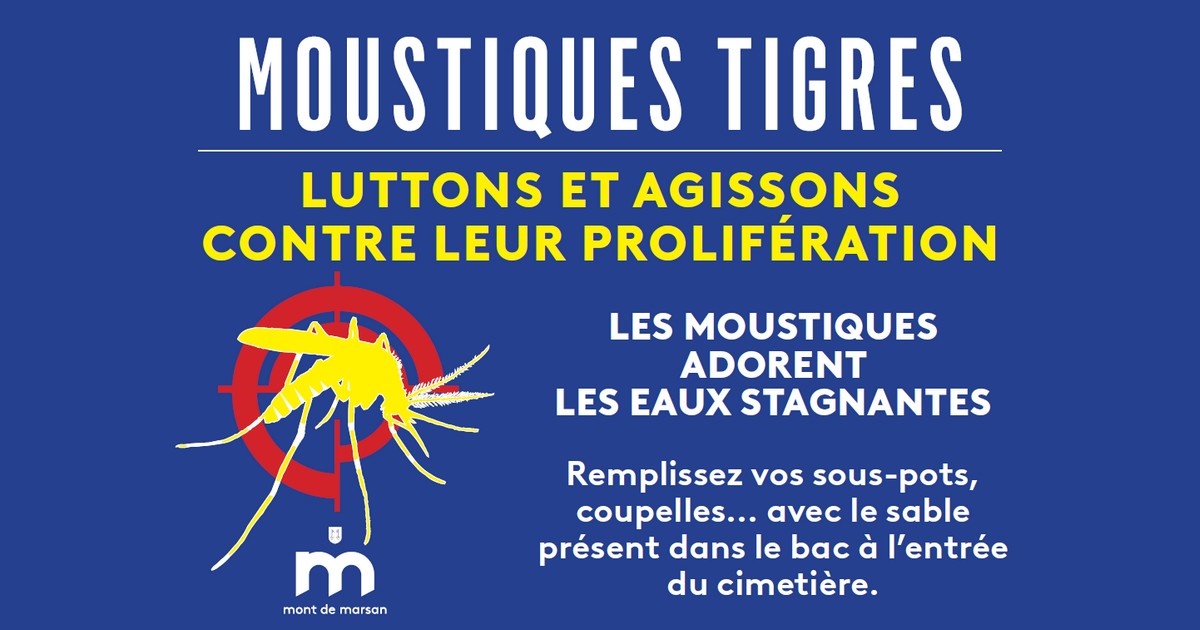 Moustiques tigres - Luttons et agissons contre leur prolifération