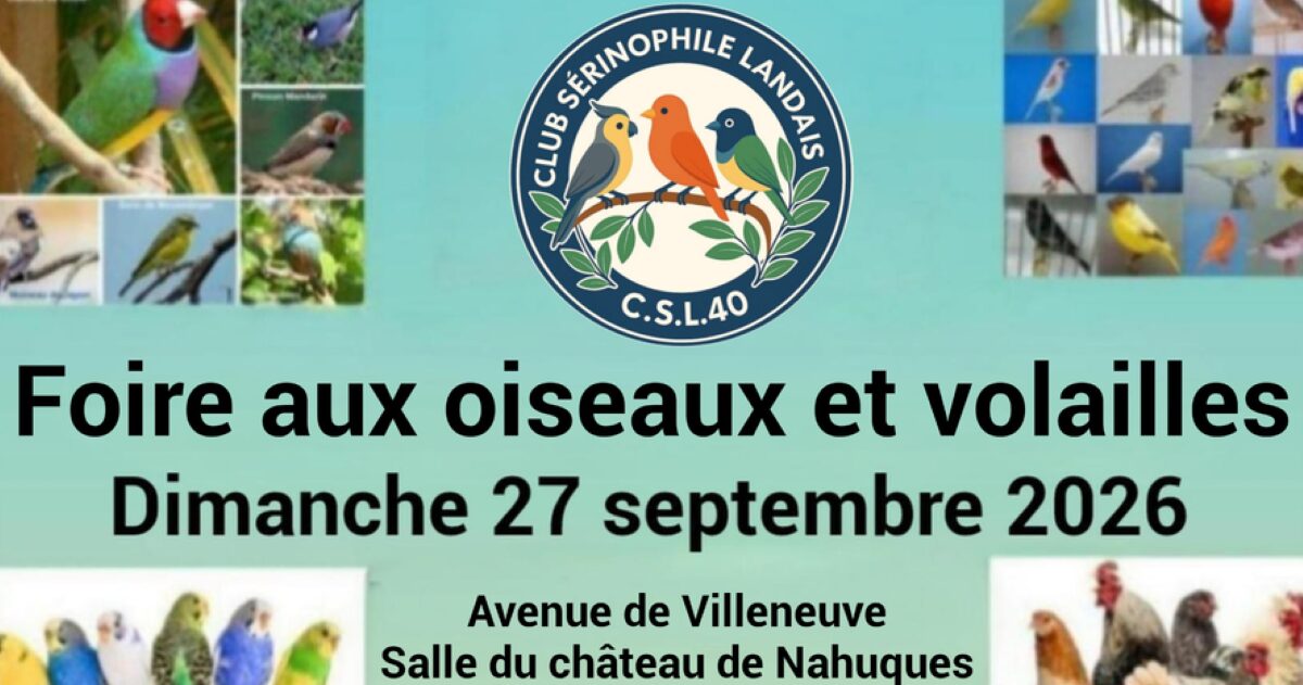 Foire aux oiseaux et volailles